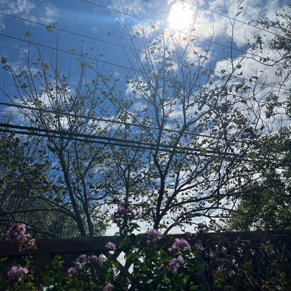 Meet your Posher, Camryn - Picture 1 of 2